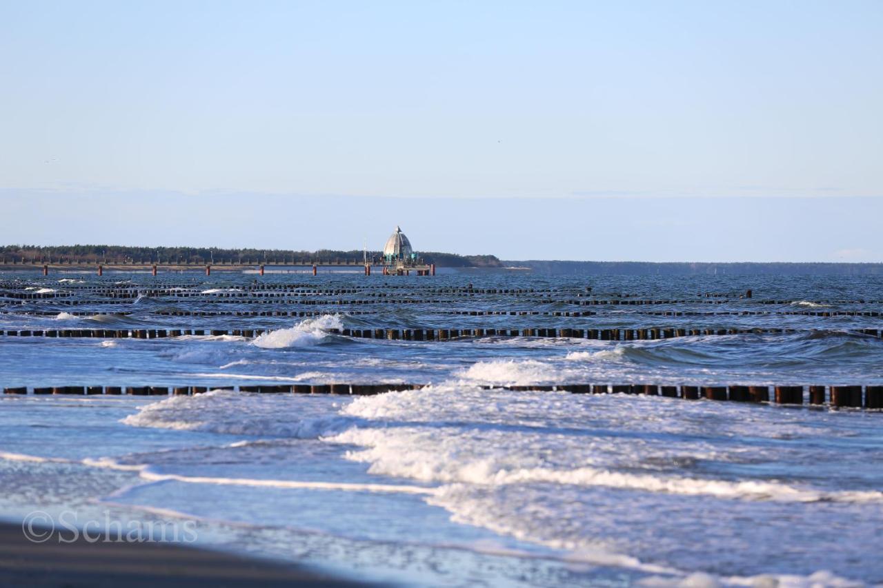 Ostseelagune Zingst, Exklusive Dhh, Strandnah, Sauna, Kamin, 3 Sz, 2 Baeder, Glasfaser, Haustierfrei, Garten Mit Suedterrasse, E-Ladesaeule, 2 Stellplaetze, Strandkorb, Fahrradschuppen, Waschmaschine, Trockner, Nichtraucher Dış mekan fotoğraf