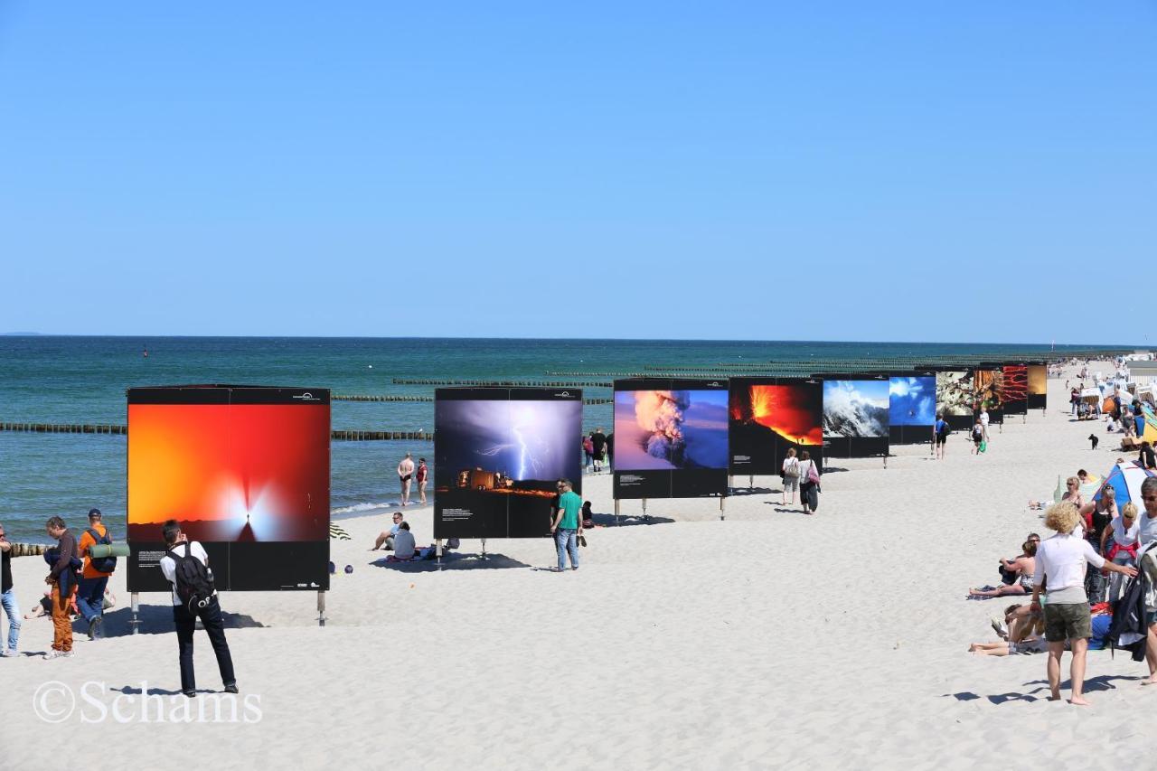 Ostseelagune Zingst, Exklusive Dhh, Strandnah, Sauna, Kamin, 3 Sz, 2 Baeder, Glasfaser, Haustierfrei, Garten Mit Suedterrasse, E-Ladesaeule, 2 Stellplaetze, Strandkorb, Fahrradschuppen, Waschmaschine, Trockner, Nichtraucher Dış mekan fotoğraf
