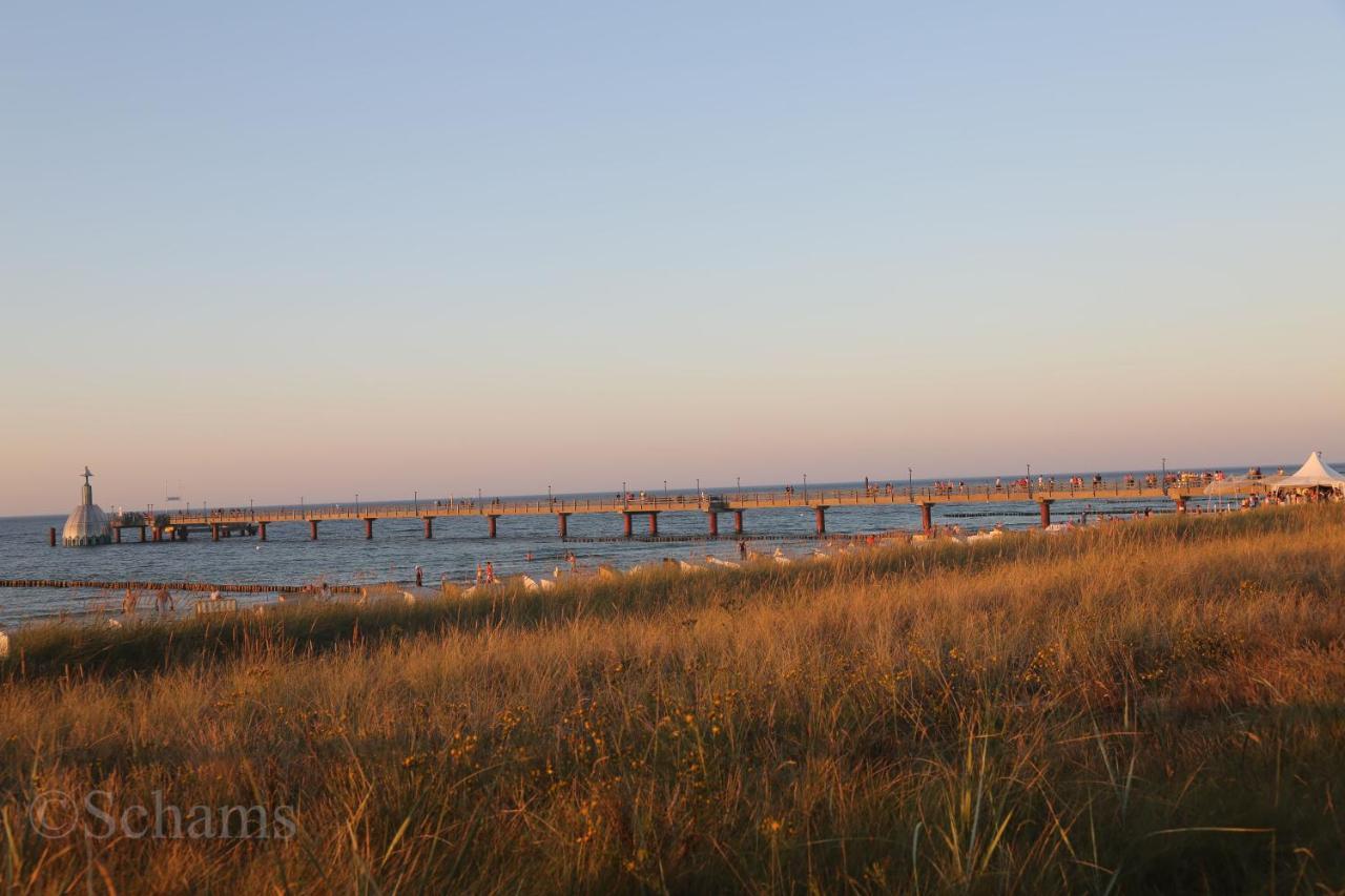 Ostseelagune Zingst, Exklusive Dhh, Strandnah, Sauna, Kamin, 3 Sz, 2 Baeder, Glasfaser, Haustierfrei, Garten Mit Suedterrasse, E-Ladesaeule, 2 Stellplaetze, Strandkorb, Fahrradschuppen, Waschmaschine, Trockner, Nichtraucher Dış mekan fotoğraf