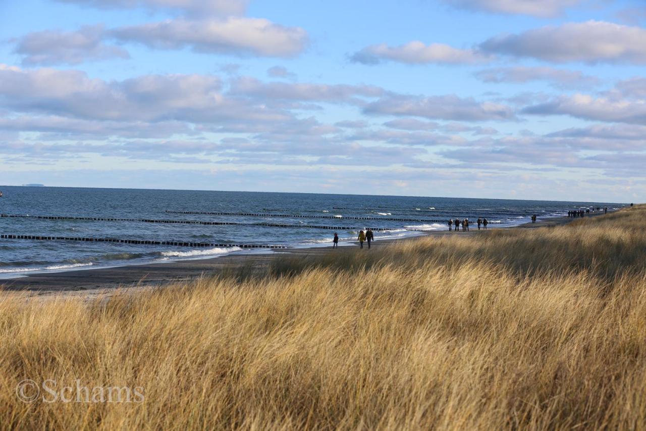 Ostseelagune Zingst, Exklusive Dhh, Strandnah, Sauna, Kamin, 3 Sz, 2 Baeder, Glasfaser, Haustierfrei, Garten Mit Suedterrasse, E-Ladesaeule, 2 Stellplaetze, Strandkorb, Fahrradschuppen, Waschmaschine, Trockner, Nichtraucher Dış mekan fotoğraf