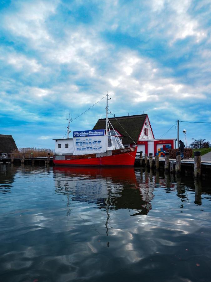 Ostseelagune Zingst, Exklusive Dhh, Strandnah, Sauna, Kamin, 3 Sz, 2 Baeder, Glasfaser, Haustierfrei, Garten Mit Suedterrasse, E-Ladesaeule, 2 Stellplaetze, Strandkorb, Fahrradschuppen, Waschmaschine, Trockner, Nichtraucher Dış mekan fotoğraf