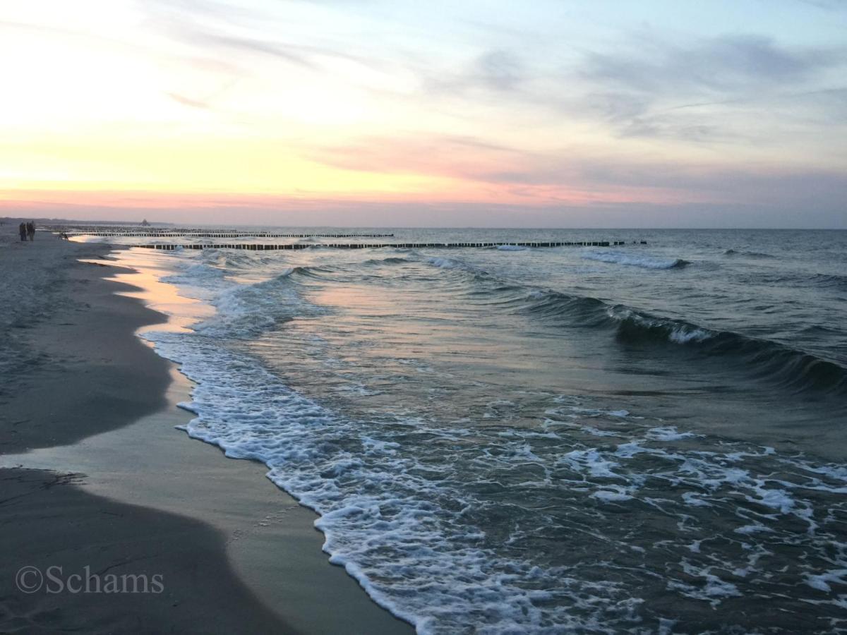 Ostseelagune Zingst, Exklusive Dhh, Strandnah, Sauna, Kamin, 3 Sz, 2 Baeder, Glasfaser, Haustierfrei, Garten Mit Suedterrasse, E-Ladesaeule, 2 Stellplaetze, Strandkorb, Fahrradschuppen, Waschmaschine, Trockner, Nichtraucher Dış mekan fotoğraf